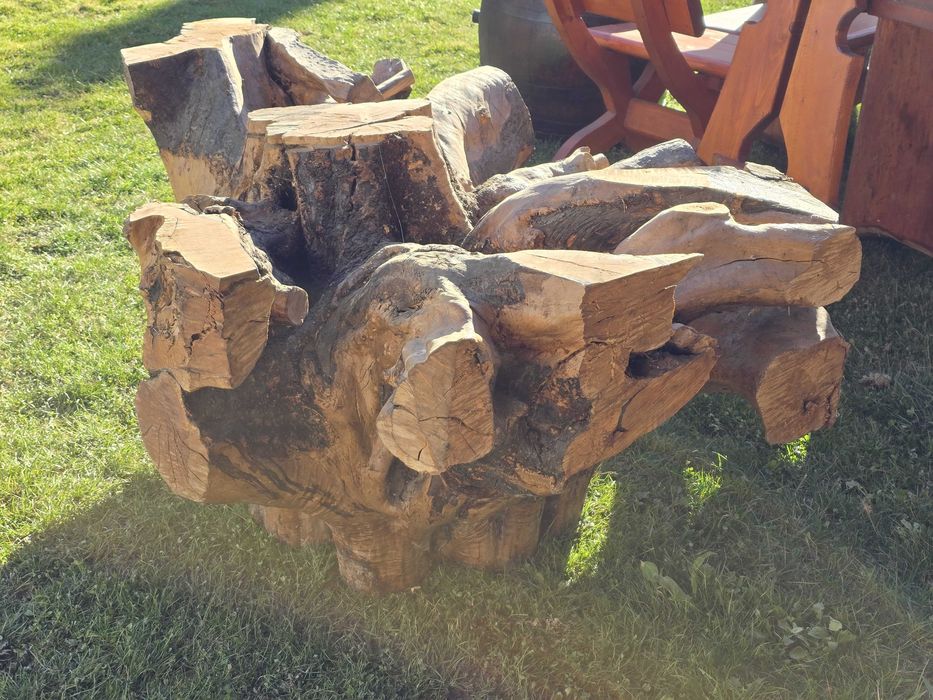 Vand radacina perfecta pt masa sau ca decoratiune