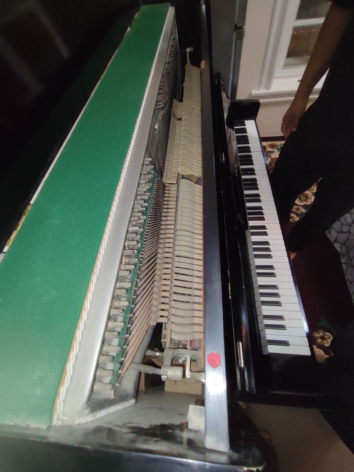 Pianino lastochka