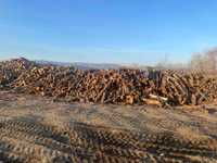 Продавам дърва за огрев от тополова дървесина