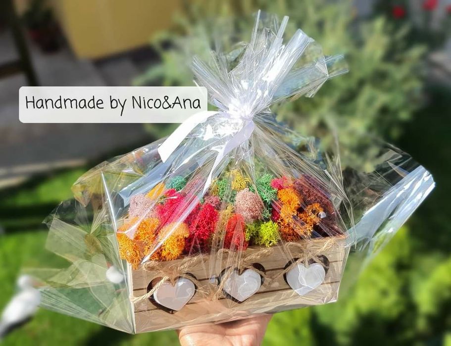 Vând aranjamente,tablouri si ceasuri cu lichieni stabilizați