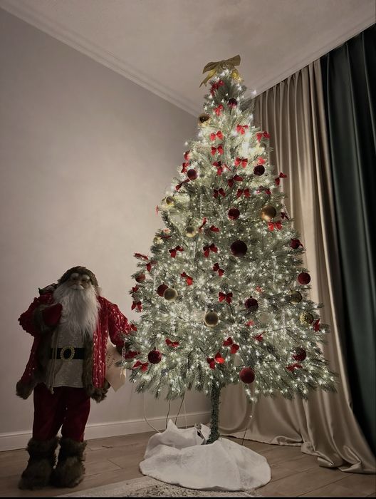 Голубая ел продается