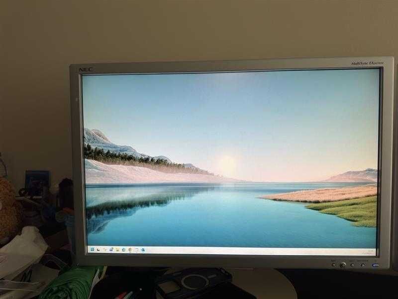 Монитор NEC MultiSync EA241wm