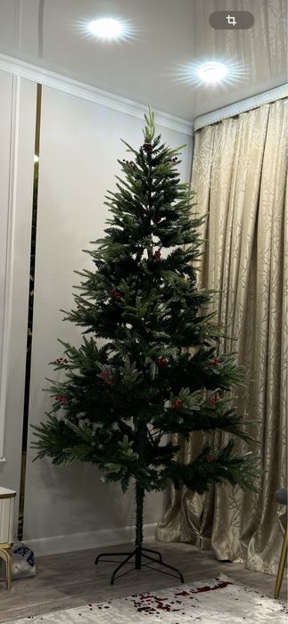 Ёлка на новый год