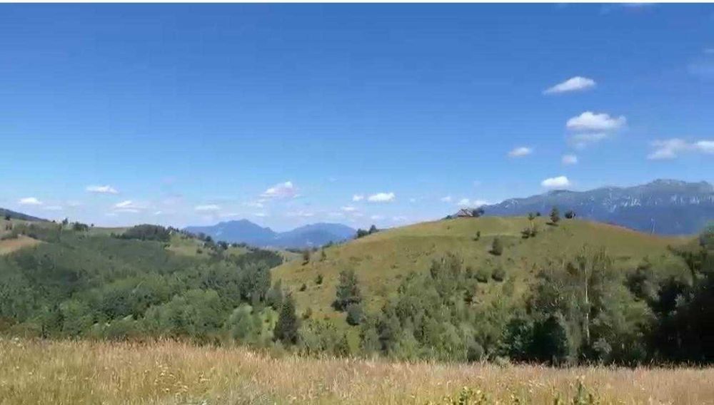 Teren 46.050 mp, Sat Șirnea, Comuna Fundata!