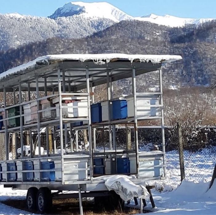 Мёд из Грузий..липовый и каштановый