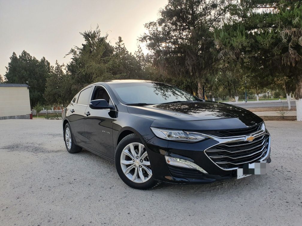 Malibu 2 2019 ideal