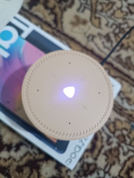 алиса сатылады 20 мыңға