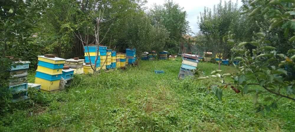 Продава се Парцел в с. Боровци, Област Монтана - 790 кв.м за 16 €/кв.м - Снимка #1