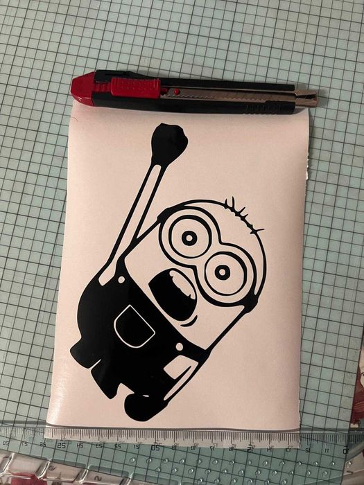 Stickere auto personalizate