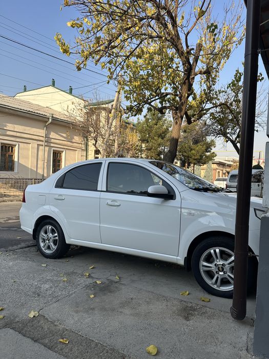 Arenda Nexia 3 2017 yil Bow tolov 2500$