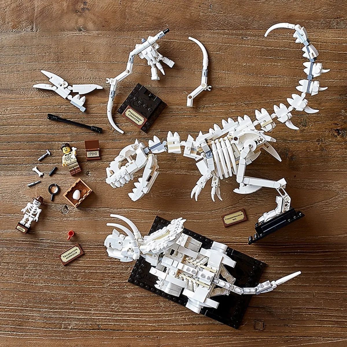 Lego Ideas 21320 Dinosaur Fossils Вкаменелости на динозаври + подарък