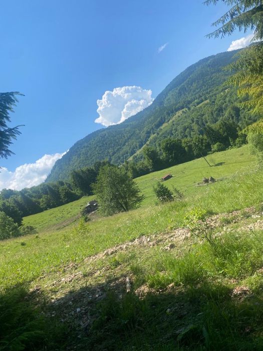 Teren Rucar Bran Valea Cheii