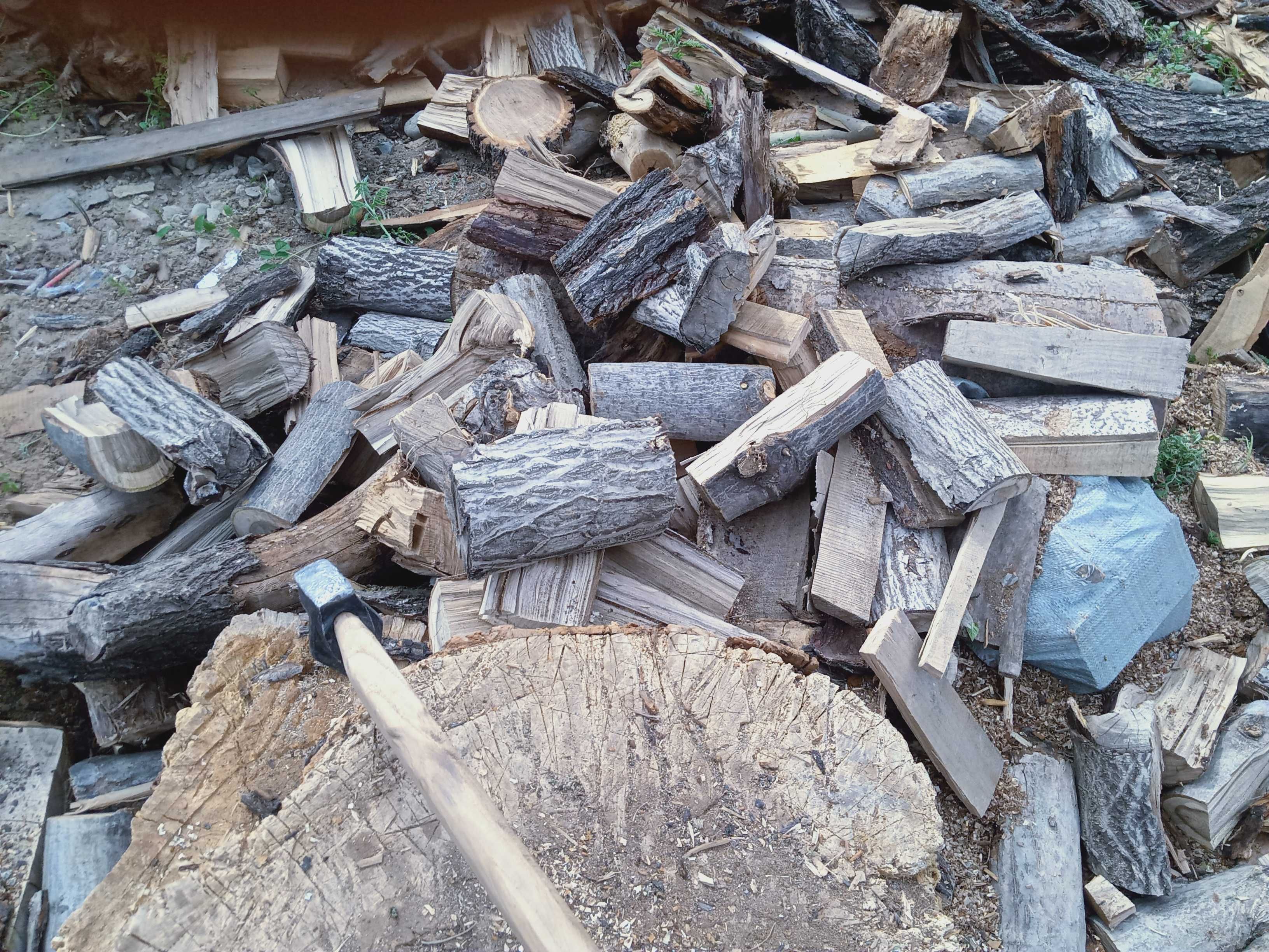Сухие дрова карагач, дуб, клен, тополь. В мешках