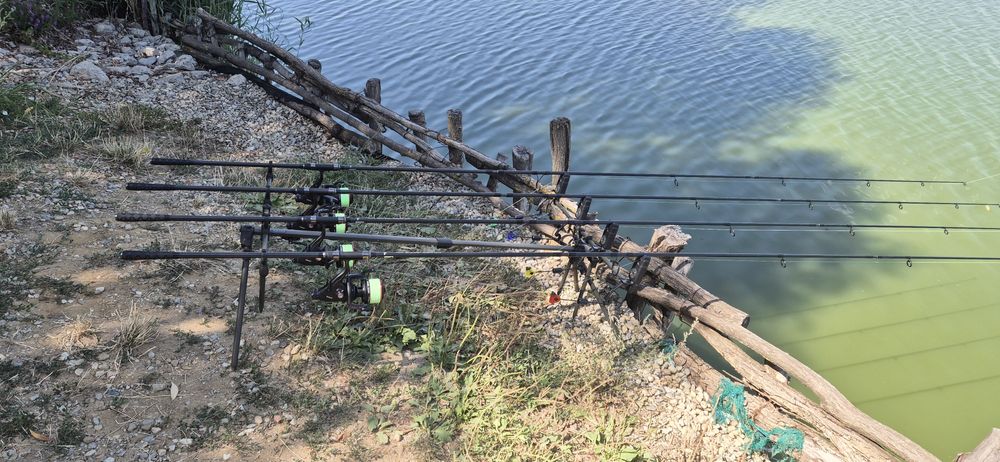 Lanseta Carp Exper, 3.90m, 3.5lbs, 3buc