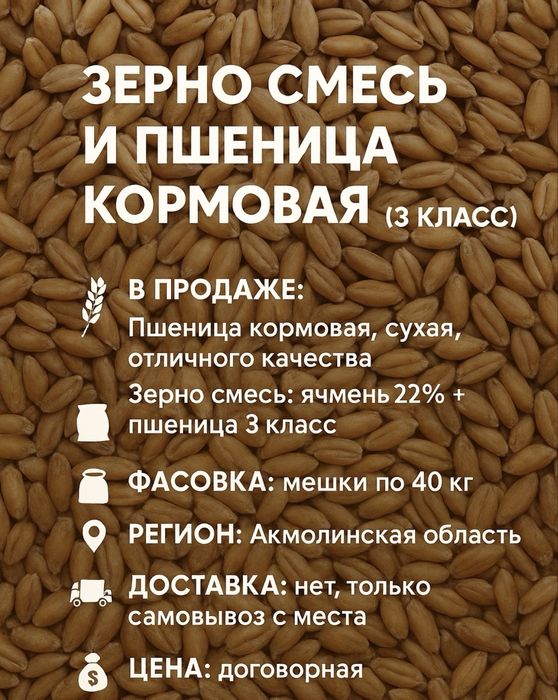 Зерно кормовое с места 3 класса