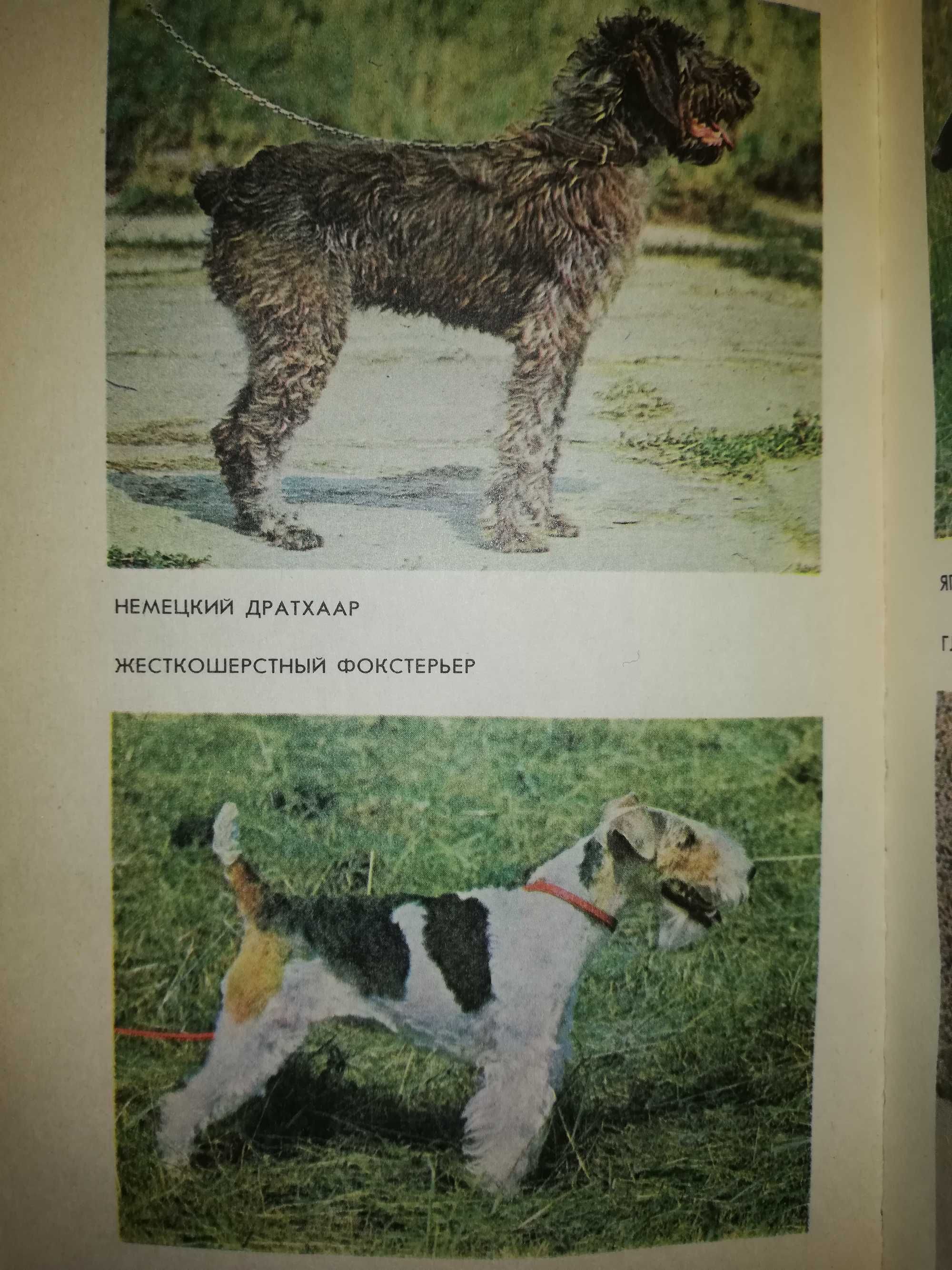 Книга ''Охотничье Собаководство''