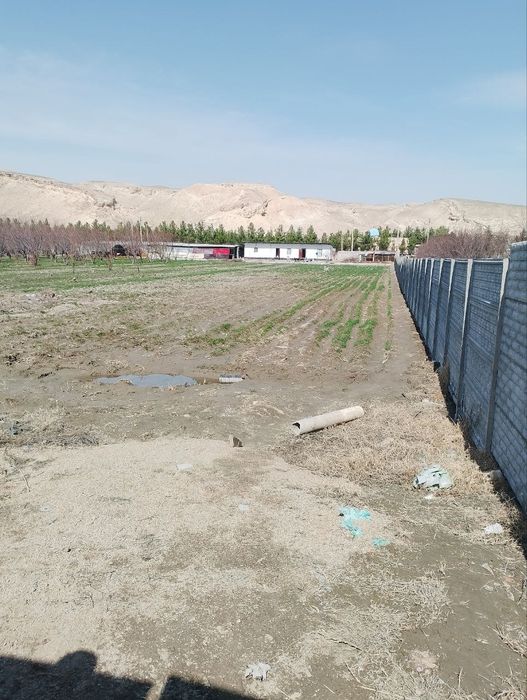 Navboxor bog sotiladi