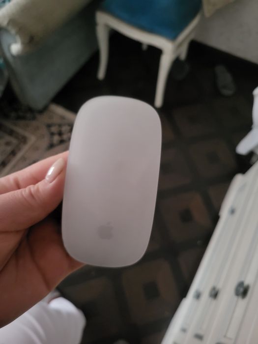 Apple magic mouse