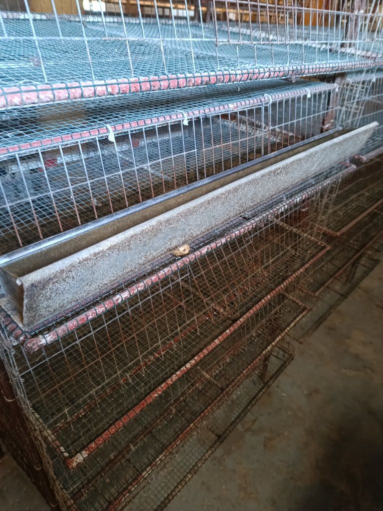 Cuștii de vânzare 6 nivele pentru prepelițe etc.