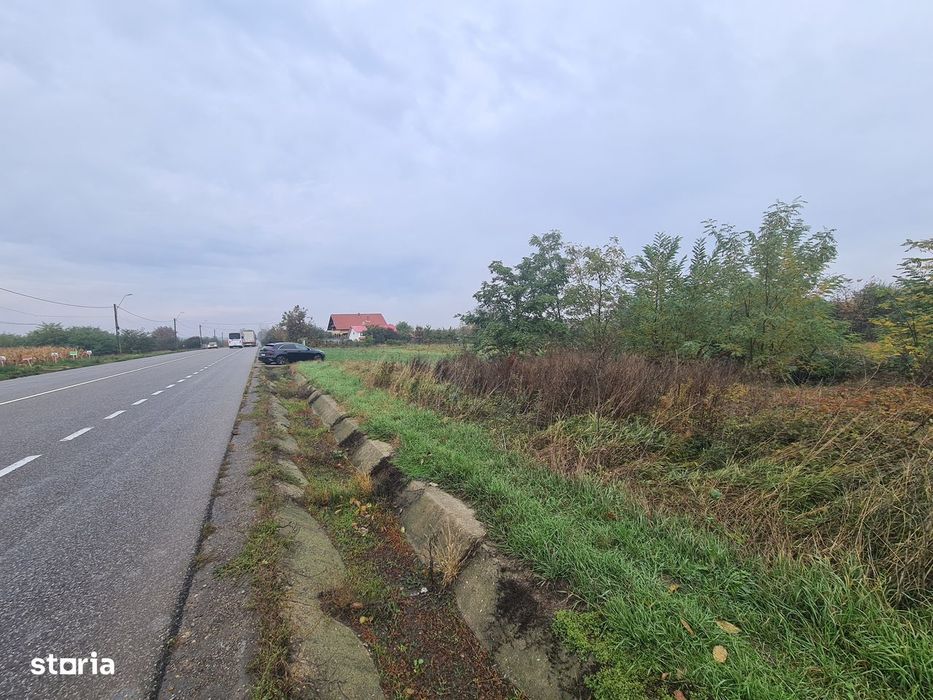 Teren 9200 mp, DN2 -33ml, Dumbrava-Bacau