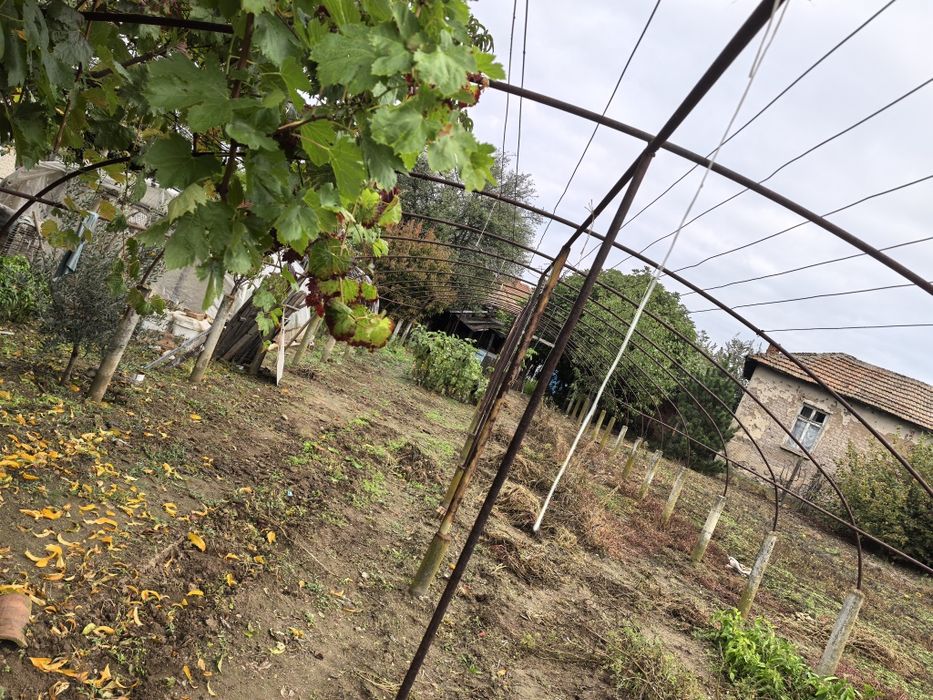 Оранжерия 28 метра