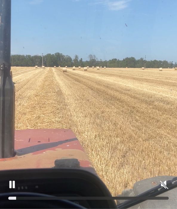 Baloti paie mari si presați 155x120