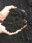 Ingrasamant natural de bovine, mranita,fertilizanți natura,l plante