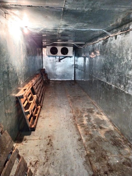 морозильные камеры в аренду