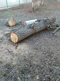 Бревно, ветки, дрова для дома бесплатно