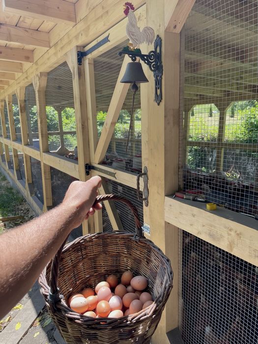 Taietei si paste de casa din faina de grau dur si oua