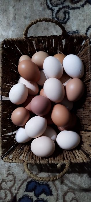 Яйца домашние...