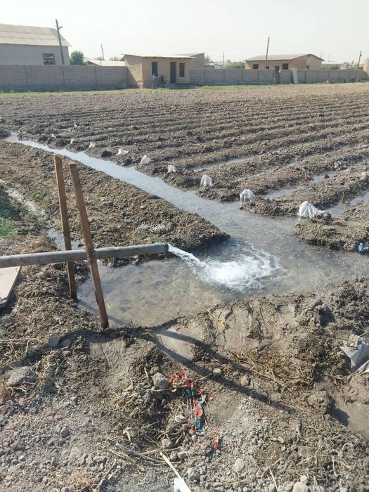 Yer sotiladi 15 sotok