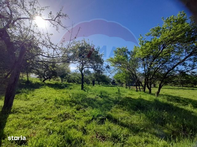 Casă / Vilă cu 2 camere de vânzare