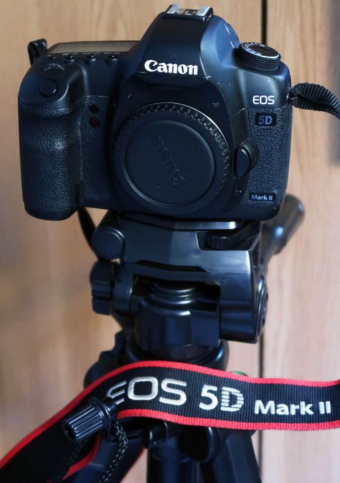 KIT PROFESIONAL FOTO CANON – aparat, obiective și accesorii