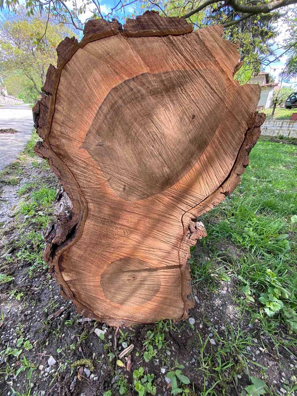 Дървен материал от орех