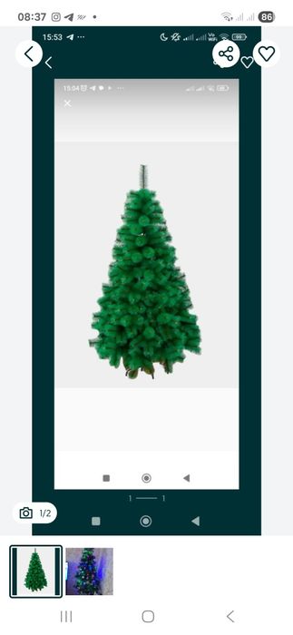 Archa 1,5metr, kotta yulduzchasi, grland va oyinchoqlari bn sotiadi