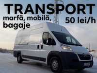 Servicii de transport marfa, electrocasnice mutari complete