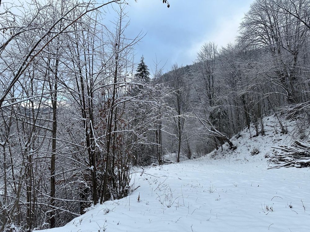 Teren Intravilan Tarcău