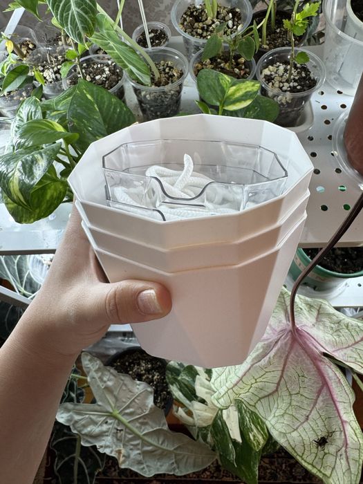 Кашпо с фетильным поливом, подставка для черенков