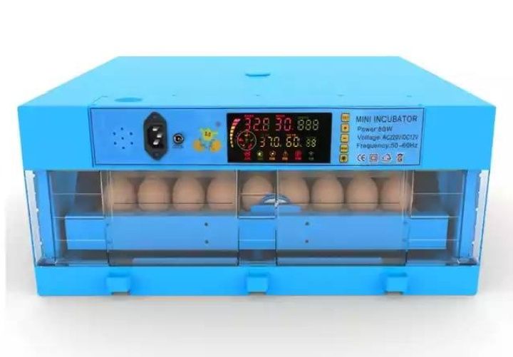 Incubator s-64 lik