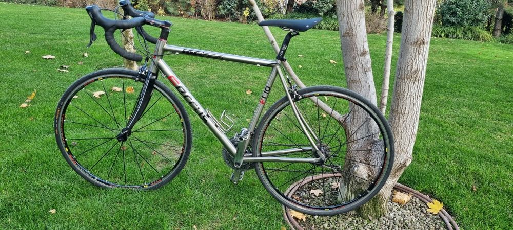 Cursiera FERRUS titan