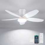 Lustra cu ventilator