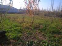 Dawaga zor joy  waqardan 30km