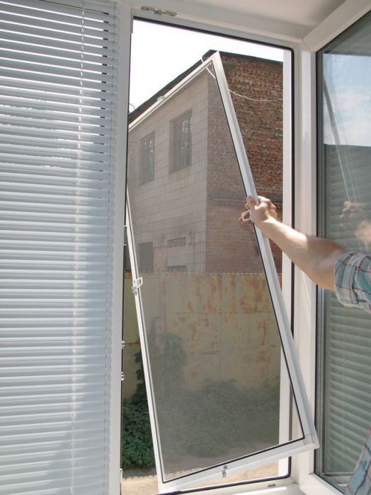 Plase insecte la comanda