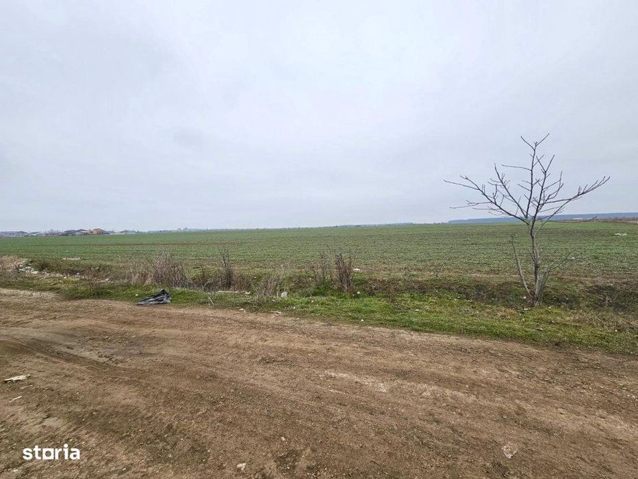 De Vanzare Teren Intravilan 13.630mp, Strada Castanilor Magurele