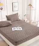 Huse de pat cocolino