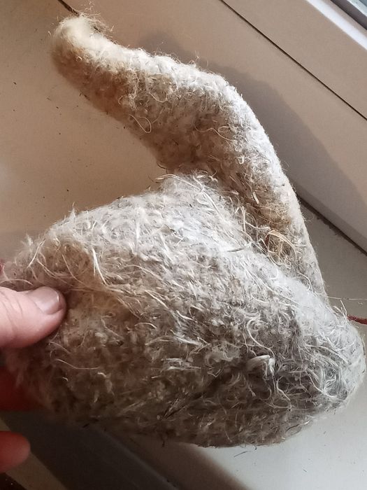 Гнездо ремеза лечебные