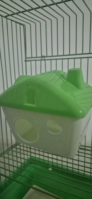 Cusca hamster echipata