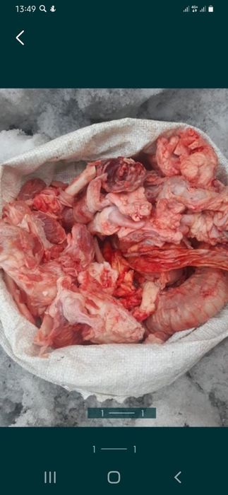 Продам мясную обрезь для собак