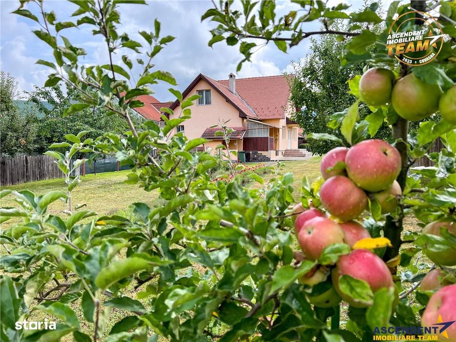 Tur 3D! Resedinta notabila,pe armonios cadru natural,distinse faciliat